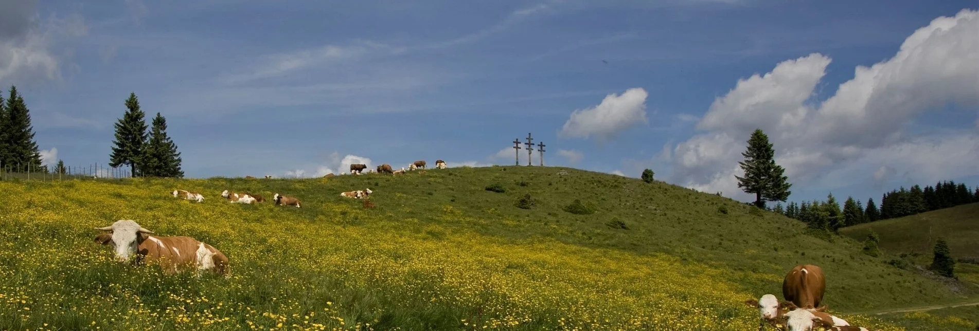 Hiking route Große Almwanderung von Passail - Touren-Impression #1 | © Oststeiermark Tourismus