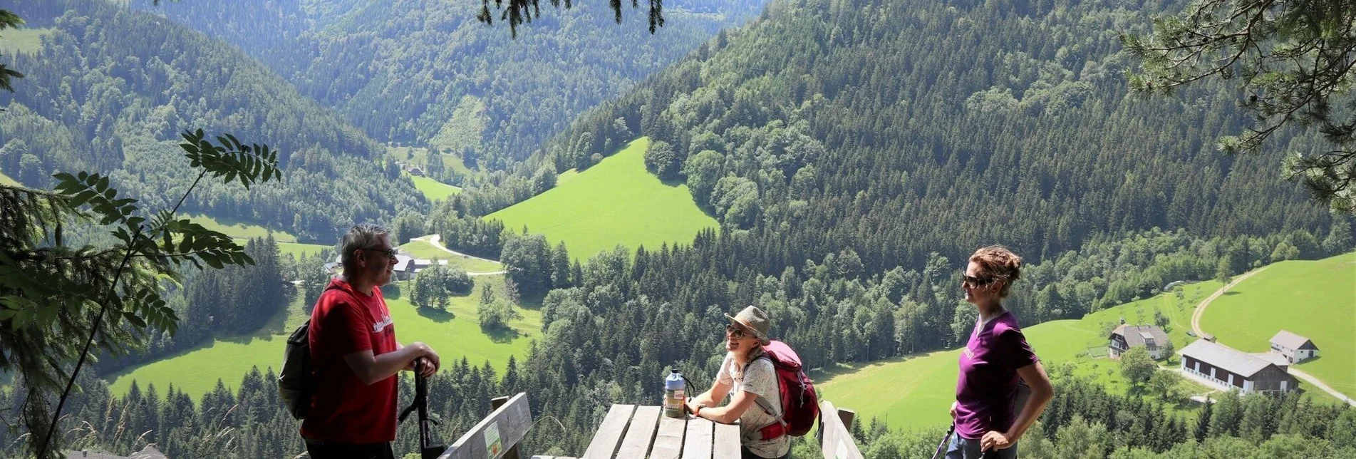 Hiking route Stoakogler - Heimatweg in Gasen - Touren-Impression #1 | © Oststeiermark Tourismus