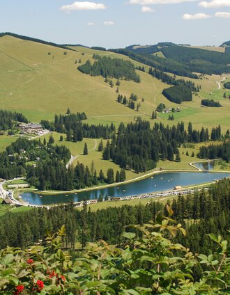 Teichalm Landschaft im Naturpark Almenland | Franz Berghofer | © Oststeiermark Tourismus