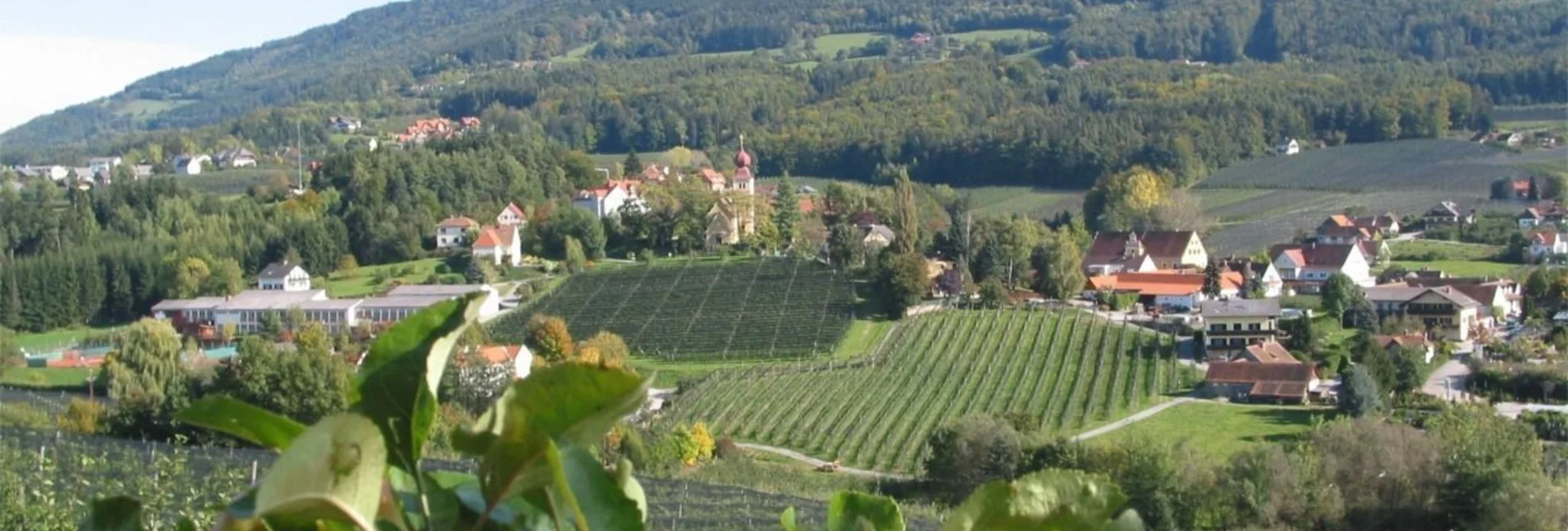 Wanderung Panoramaweg, Puch bei Weiz - Touren-Impression #1 | © Oststeiermark Tourismus