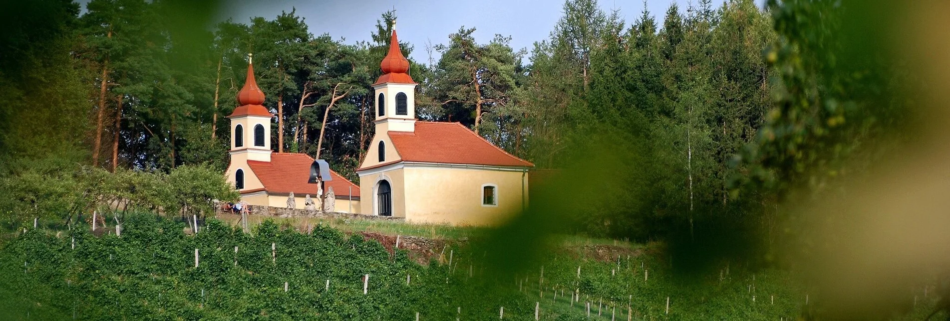 Panorama Trail Experience wine trail Hoferberg, Feistritz Valley - Touren-Impression #1 | © Oststeiermark Tourismus