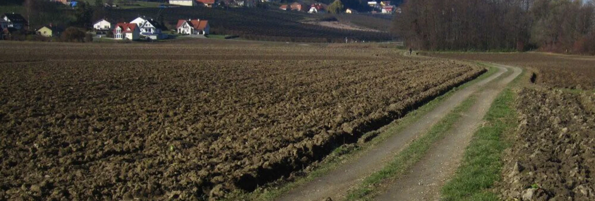 Jogging St. Ruprecht - Hobby running track - Touren-Impression #1 | © Oststeiermark Tourismus