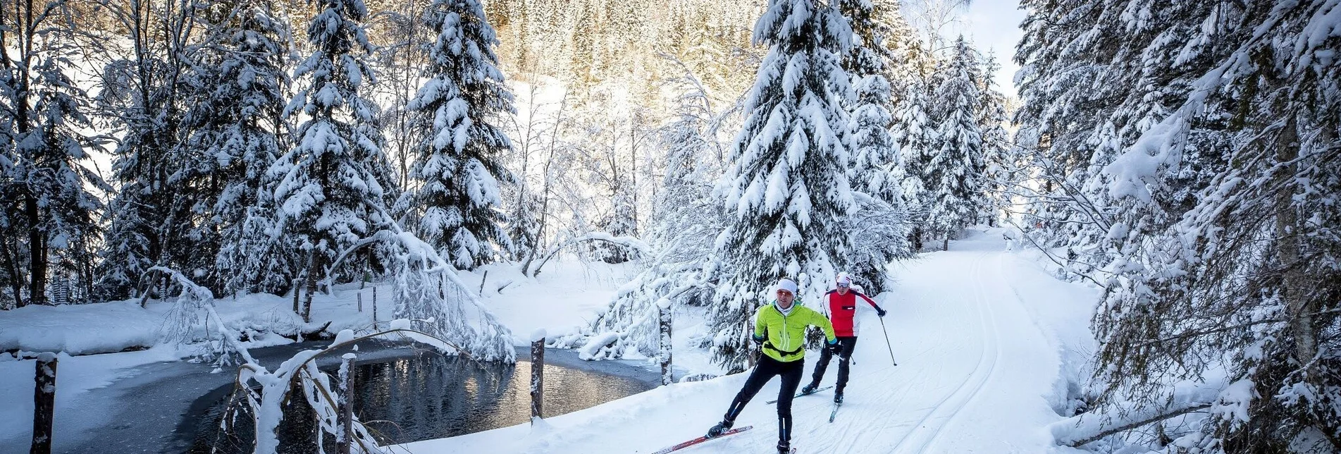 Langlauf klassisch Talloipe Laßnitz - Touren-Impression #1 | © Tourismusverband Murau