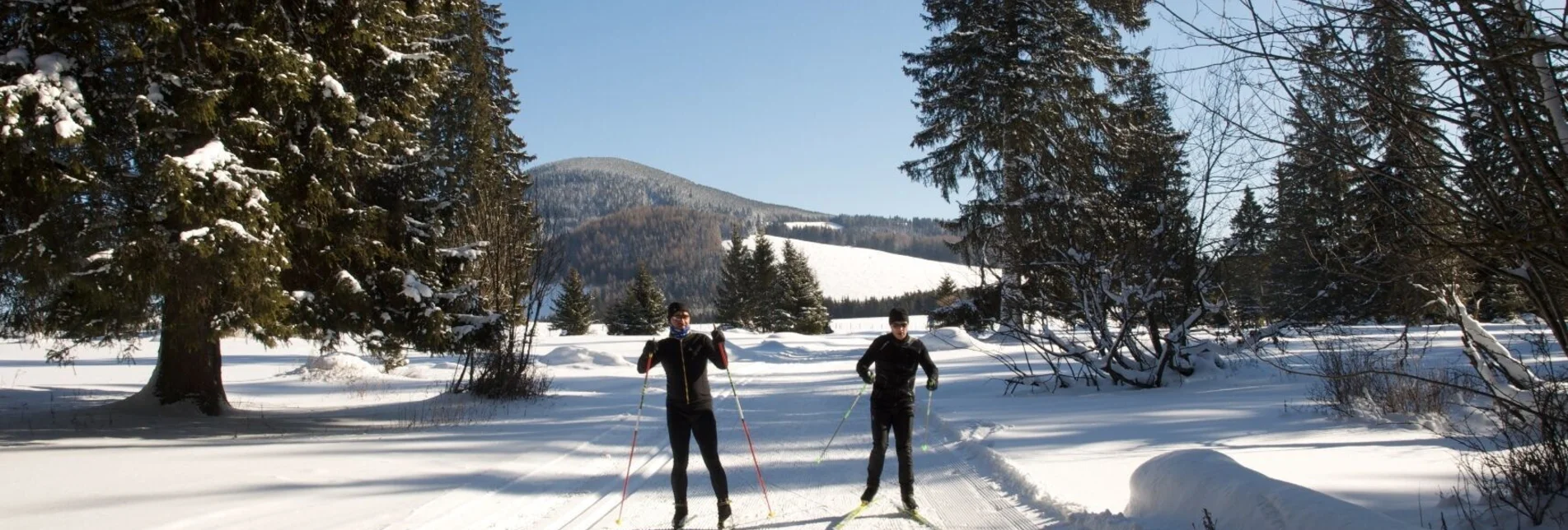 Ski nordic skating Hochmoor cross-country ski trail, Teichalm, Almenland - Touren-Impression #1 | © TVB Oststeiermark