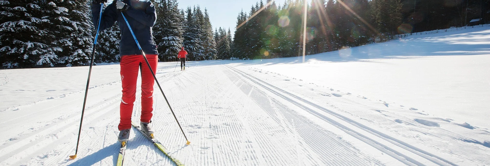 Langlauf Skating Hochmoor-Loipe, Teichalm - Touren-Impression #1 | © Oststeiermark Tourismus