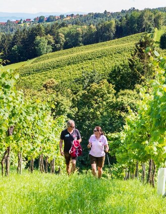 Genuss Schilchern Gundersdorf | Foto Augenblick | © TVB Südsteiermark/Foto Augenblick