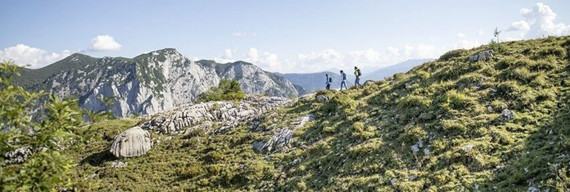 Mountain Hike Mountain tour on the Loser - Touren-Impression #1 | © Unbekannt