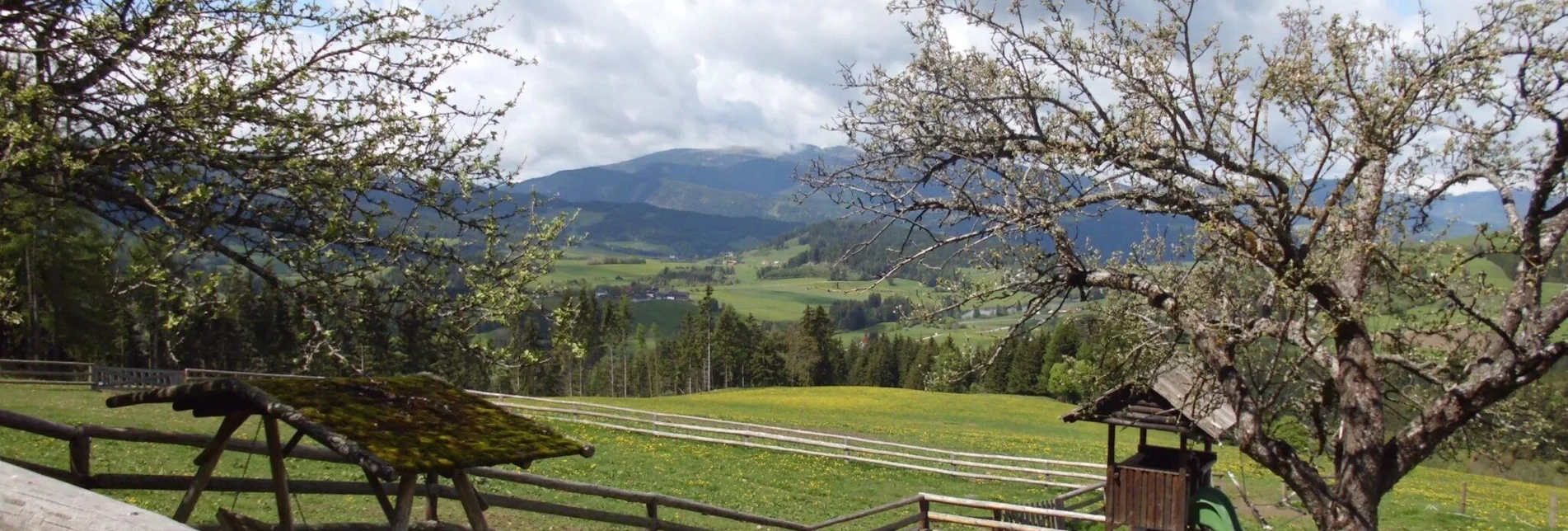 Wanderung Jakobsberger Rundwanderweg - Touren-Impression #1 | © Tourismusverband Murau