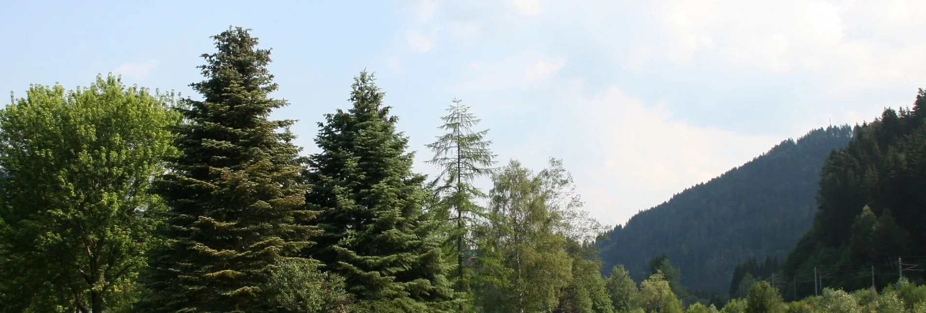 Hiking route Wildbad Einöd circular hike - Touren-Impression #1 | © Tourismusverband Murau