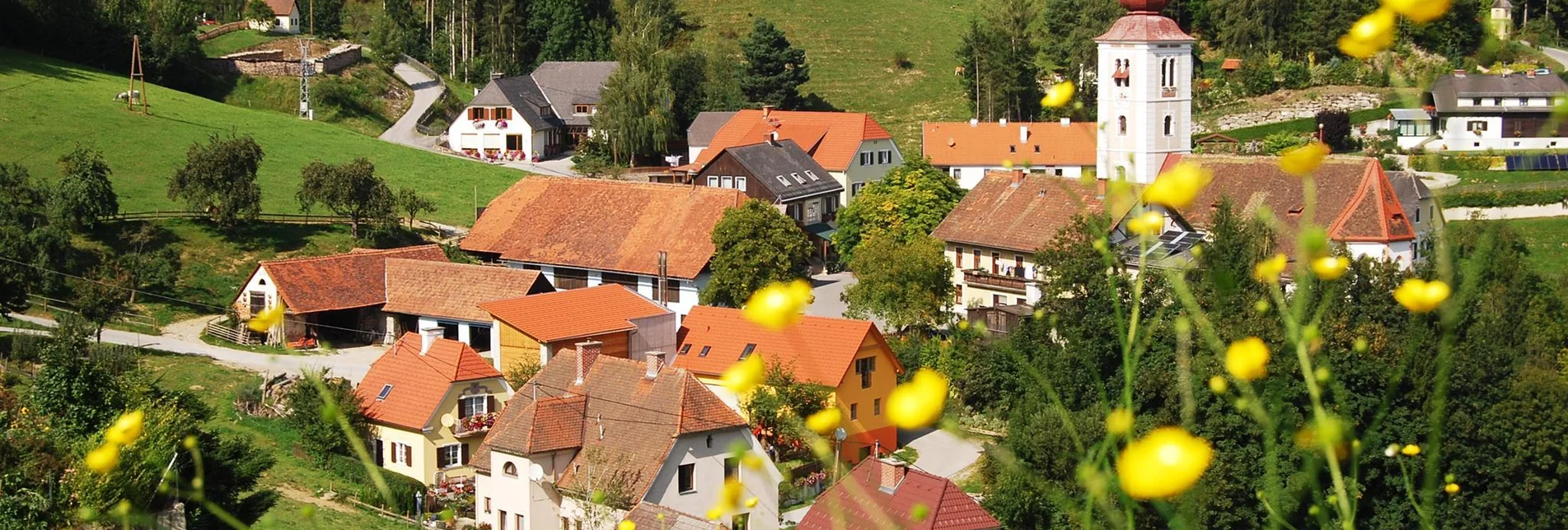 Familienwanderwege Waldlehrpfad Koglhof - Touren-Impression #1 | © Naturpark Almenland