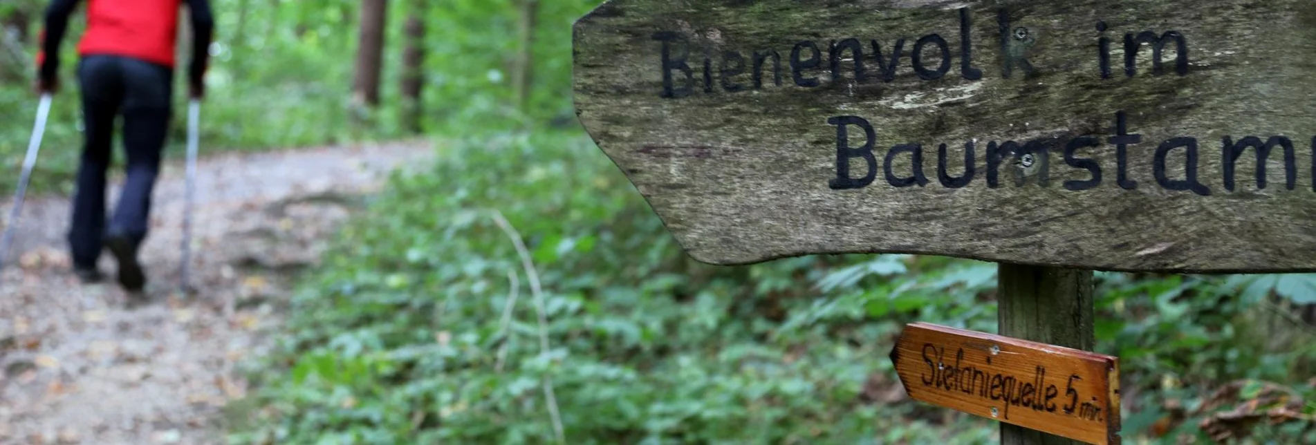 Familienwanderwege Bienenlehrpfad St. Ruprecht an der Raab - Touren-Impression #1