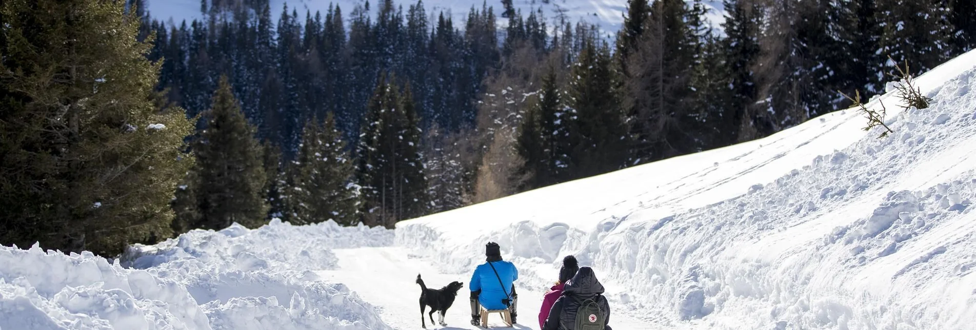 Sledding Toboggan run Lachtal - Touren-Impression #1 | © Tourismusverband Murau