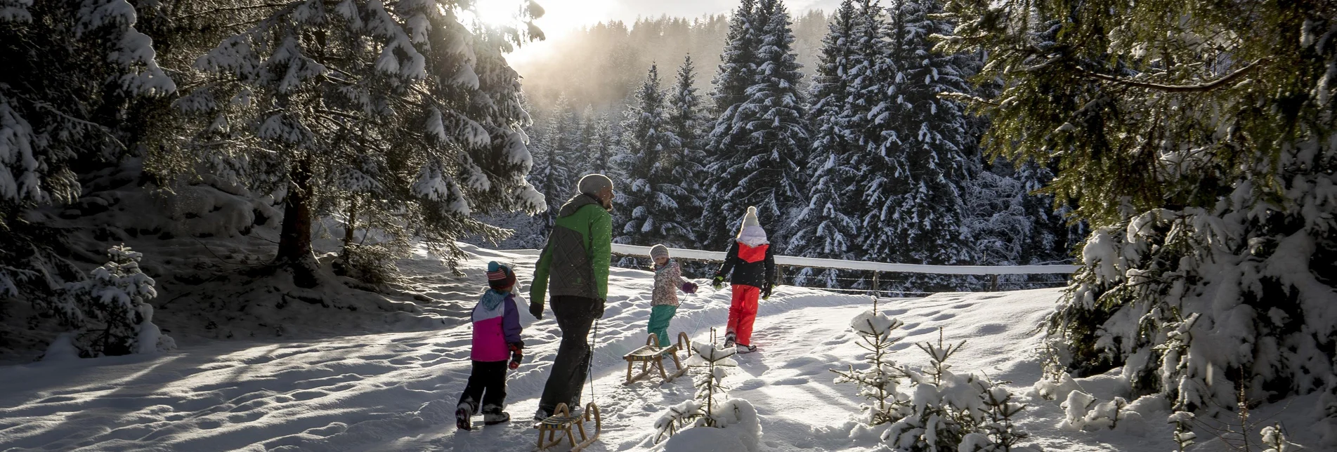 Rodeln Rodeln am Kreischberg - Touren-Impression #1 | © Tourismusverband Murau