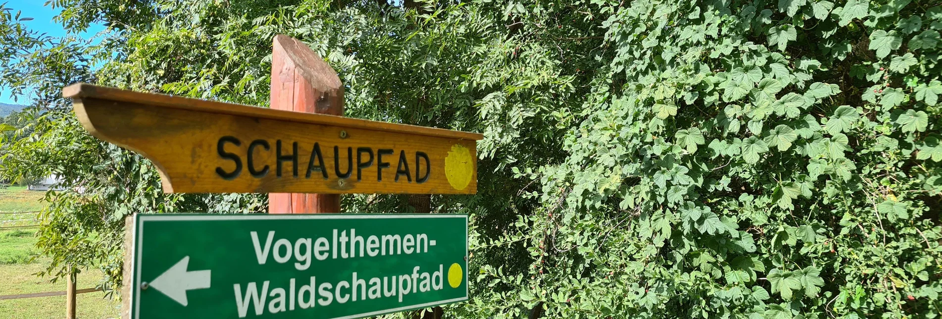 Familienwanderwege Lehrpfad Vogelthemenweg - Touren-Impression #1 | © Tourismusverband Oststeiermark