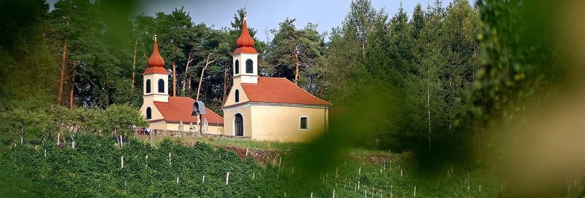 Familienwanderwege Weinlehrpfad Hoferberg - Touren-Impression #1 | © Tourismusverband Oststeiermark