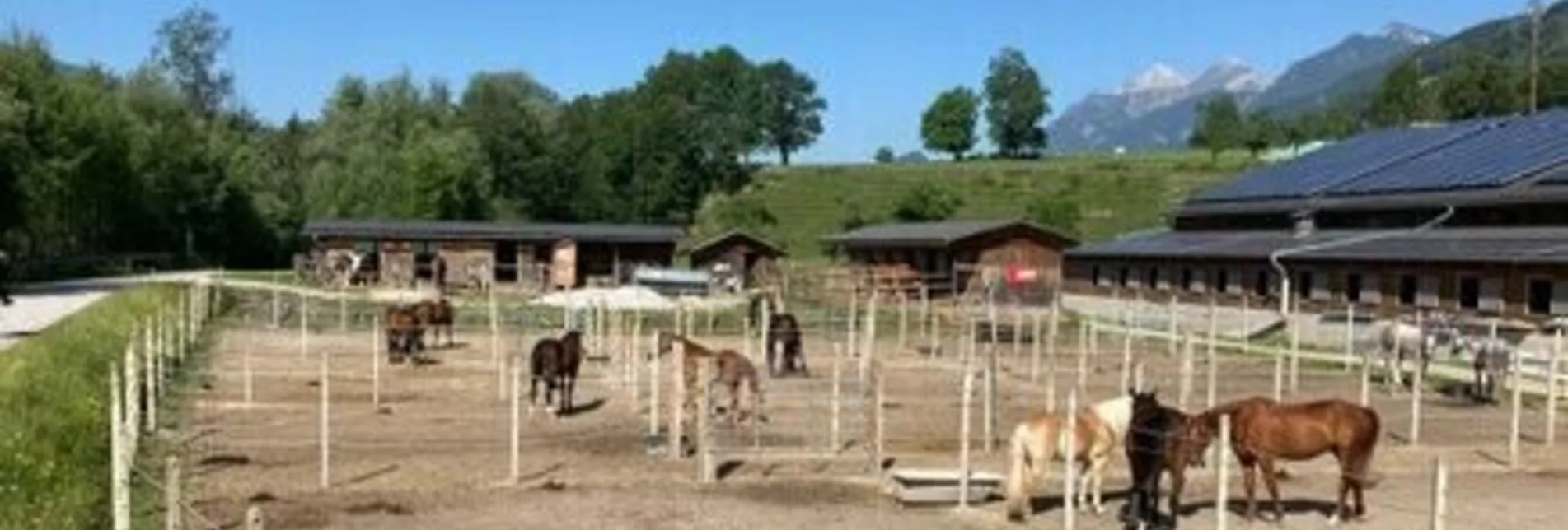 Reiten Reitsportzentrum Dunner - Touren-Impression #1