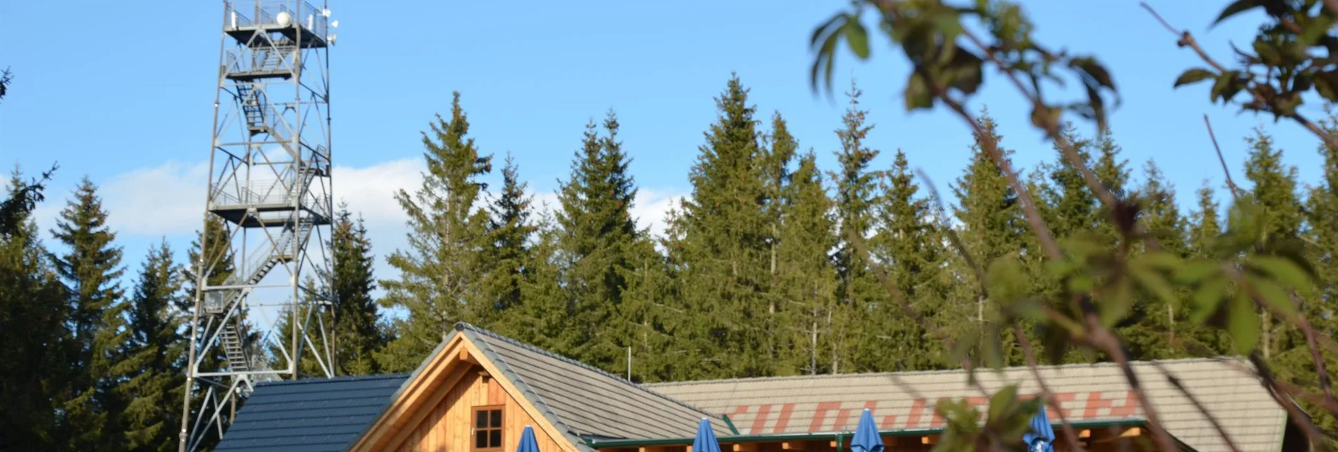 Radfahren Der große Jogl  Etappe Fischbach - Vorau - Touren-Impression #1 | © Wildwiesenhof