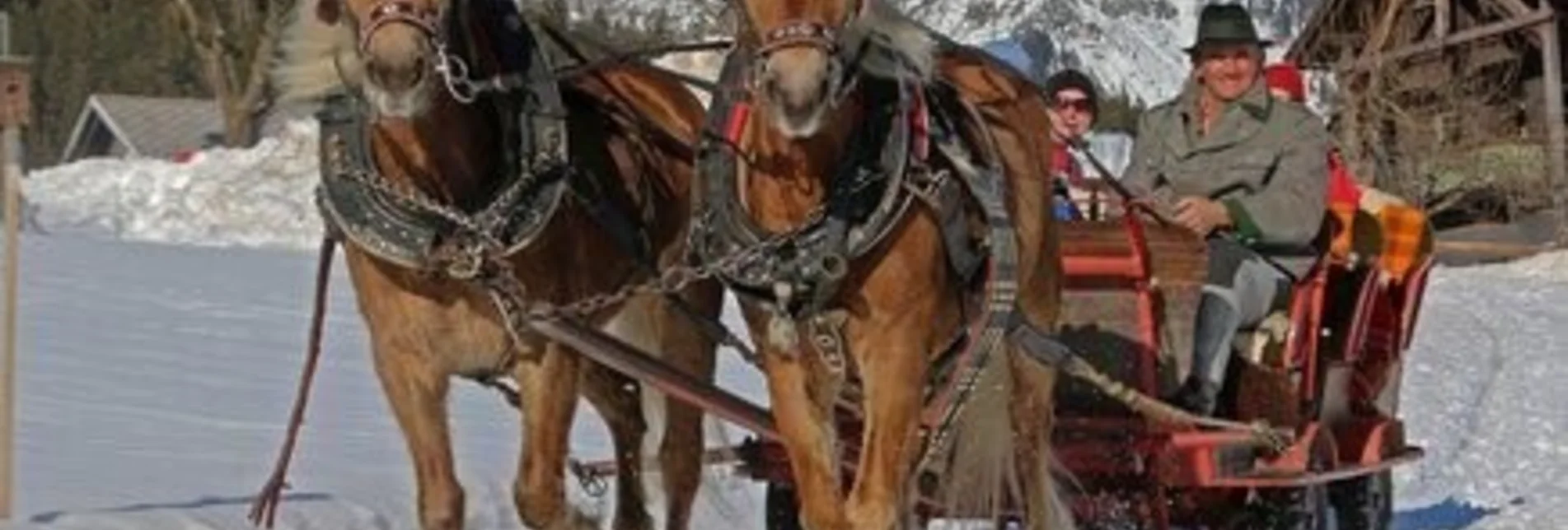 Horse Carriage Ride Horse Drawn Sleigh Rides Sporthof Austria - Touren-Impression #1