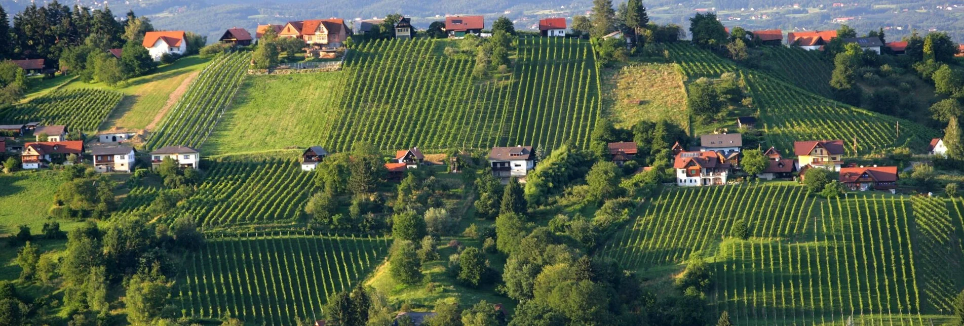 Fernwanderweg Südalpenweg 03 - Grenzpanoramaweg - Touren-Impression #1 | © Steiermark Tourismus/Harry Schiffer