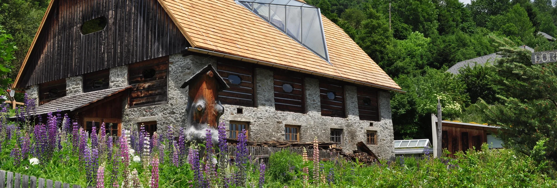 Themen- und Lehrpfad Arboretum in St. Ruprecht - Touren-Impression #1 | © Tourismusverband Murau