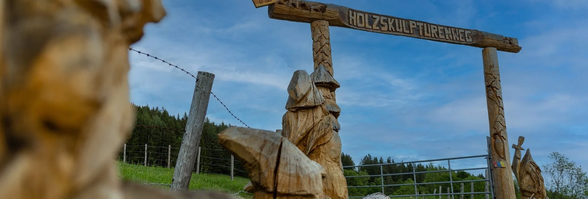 Wanderung Nechnitz-Runde über Holzskulpturenweg, Nechnitz - Touren-Impression #1 | © Oststeiermark Tourismus