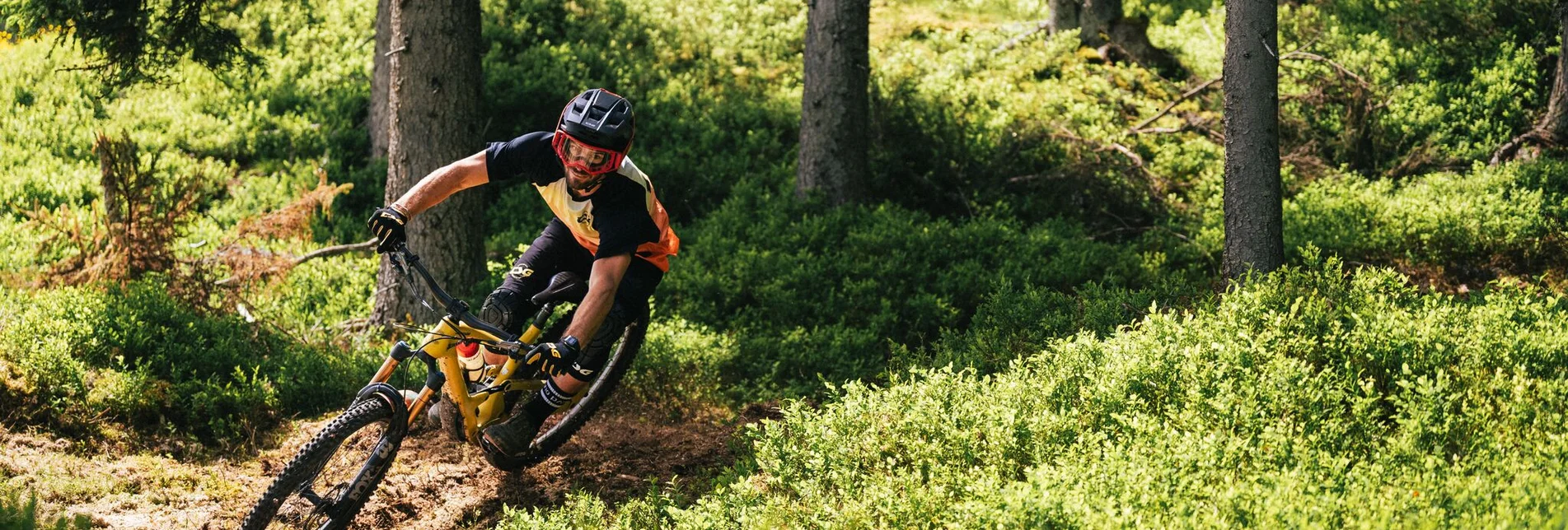 Singletrail Enduro Trail - Reiteralm | 108 - Touren-Impression #1