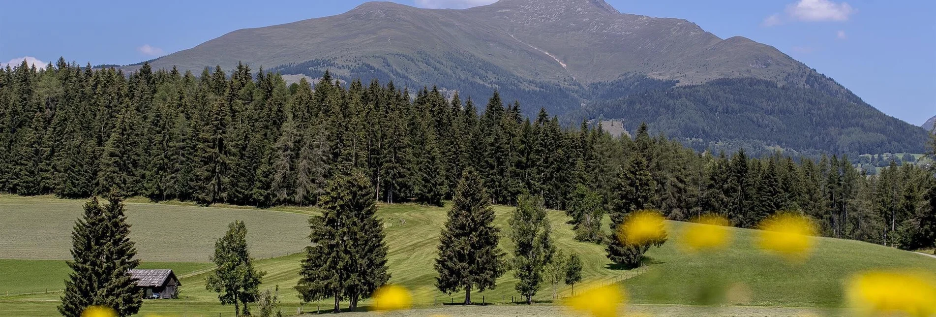 Mountain Biking Greimhut - Touren-Impression #1 | © Tourismusverband Murau