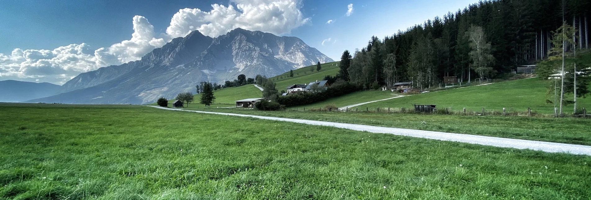 Jogging Heiligenbrunn-Loop - Touren-Impression #1 | © Clemens Egger