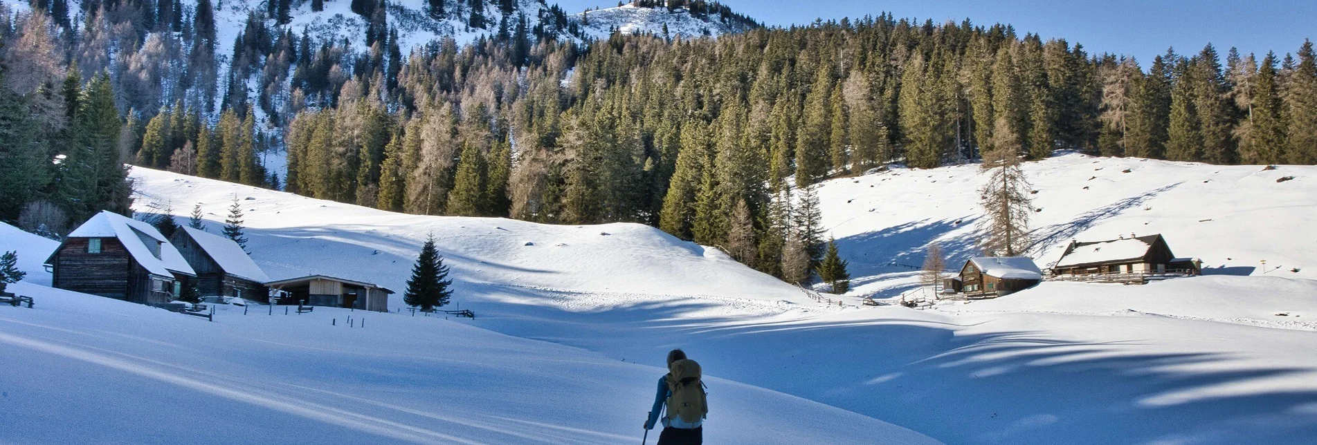 Winter Hiking Schwarzbeeralm, - Touren-Impression #1 | © Weges OG