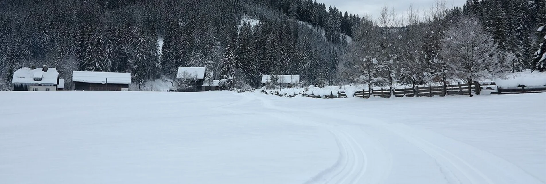 Langlauf Skating Panoramaloipe Hinterwildalpen - Touren-Impression #1 | © TV Gesäuse