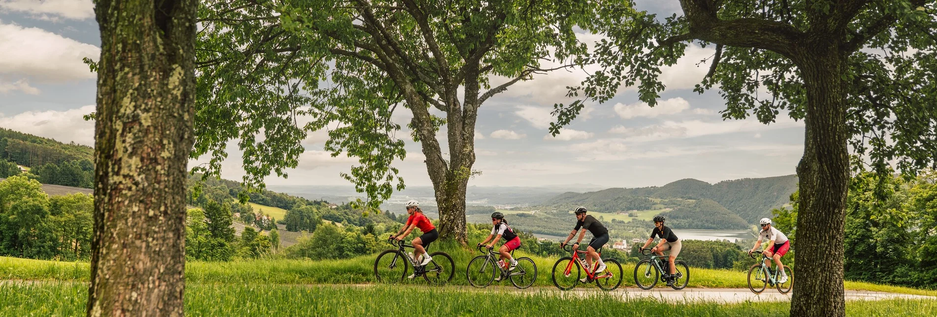 Road Cycling Castles and palaces round - Touren-Impression #1