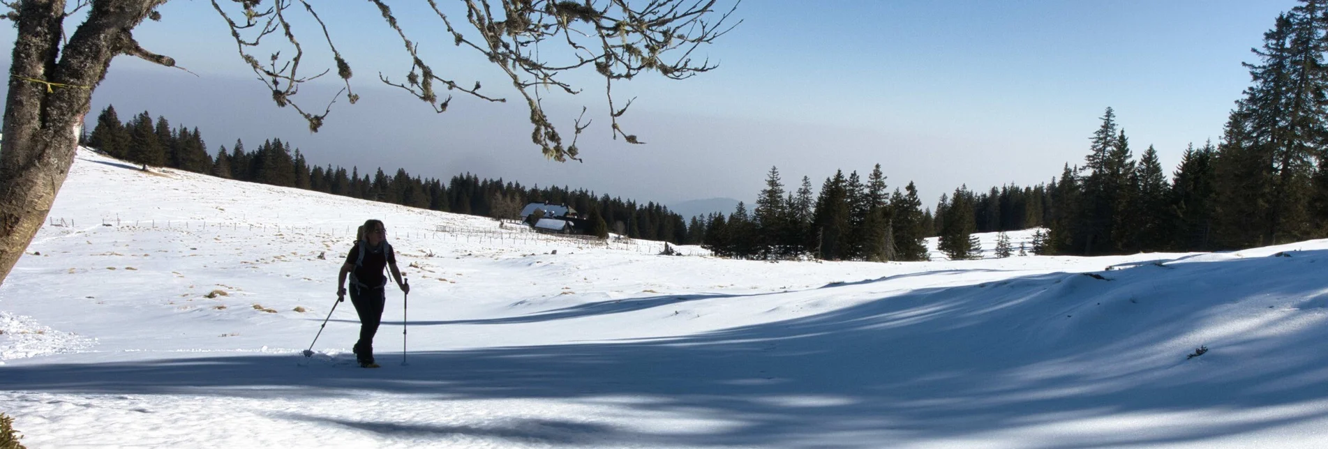 Schneeschuh Glitzalm - Von Alm zu Alm auf der verschneiten Koralpe - Touren-Impression #1 | © Weges OG
