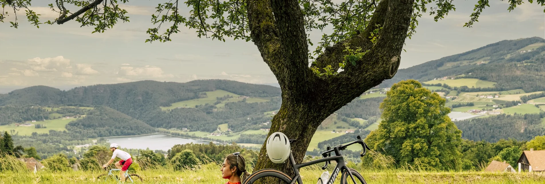 Road Cycling Off to the south round - Touren-Impression #1