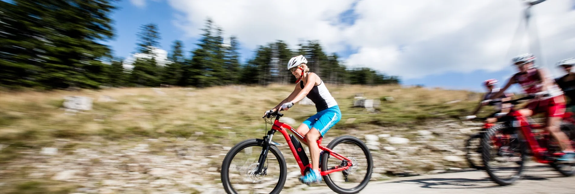 Mountain Biking Windpark Pretul: Auersbach - Moschkogel - Roseggerhaus - Touren-Impression #1 | © Tourismusverband Hochsteiermark