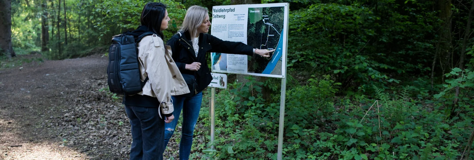 Hiking route Waldlehrpfad Zeltweg - Touren-Impression #1