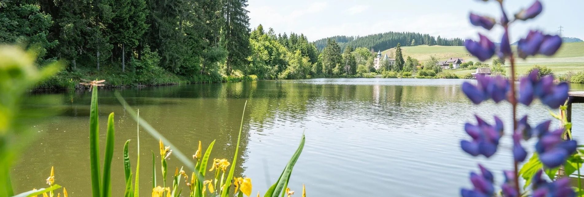 Theme path Traces of time in Oberdorf - Touren-Impression #1 | © Tourismusverband Murau
