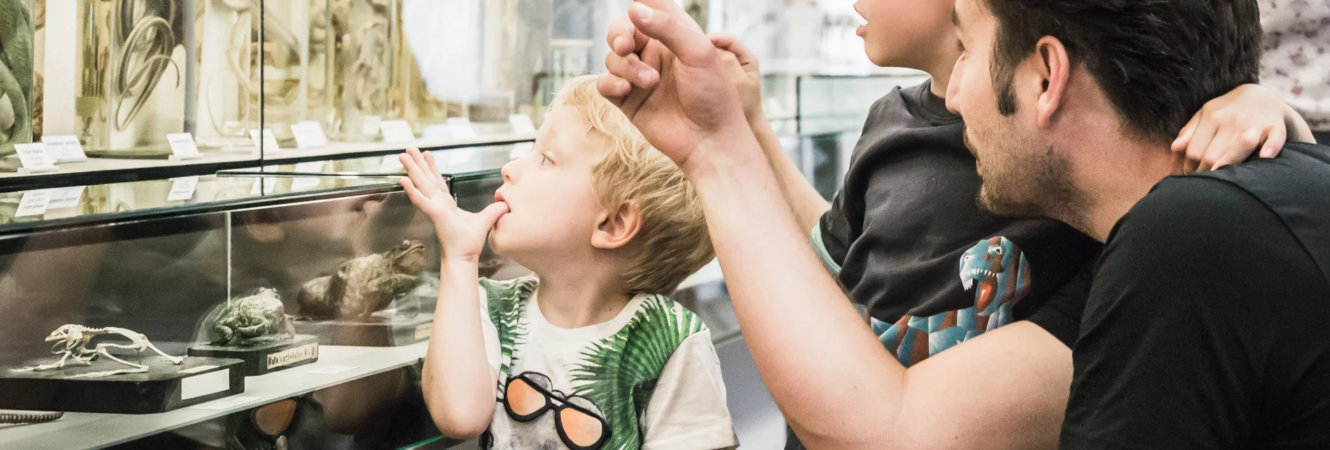 Im Naturhistorischen Museum | © Benediktinerstift Admont