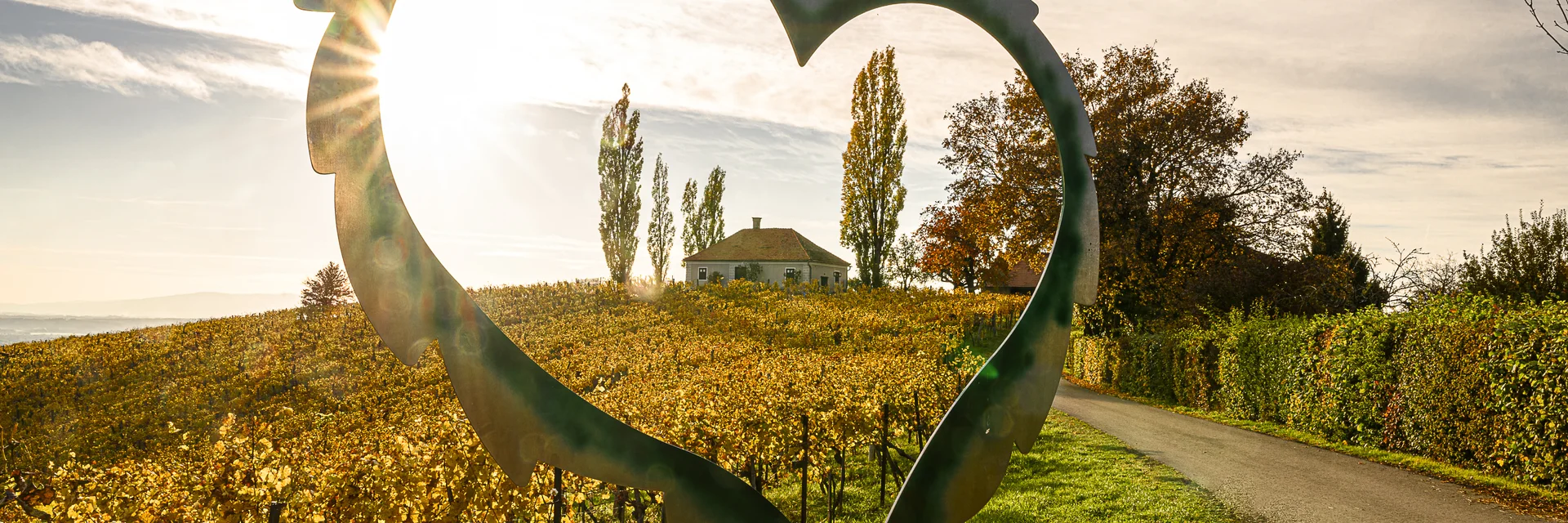 Weingärten im Herbst | © TV Region Bad Radkersburg | pixelmaker.at | © TV Region Bad Radkersburg Weingärten im Herbst | © TV Region Bad Radkersburg | pixelmaker.at | © TV Region Bad Radkersburg