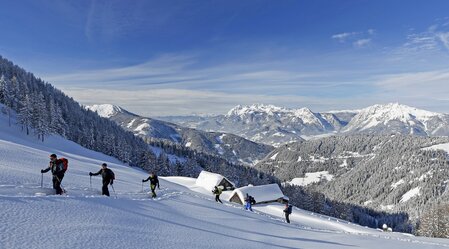 Ski tour on Gumpeneck in the Sölktäler Nature Park | © Steiermark Tourismus | photo-austria.at