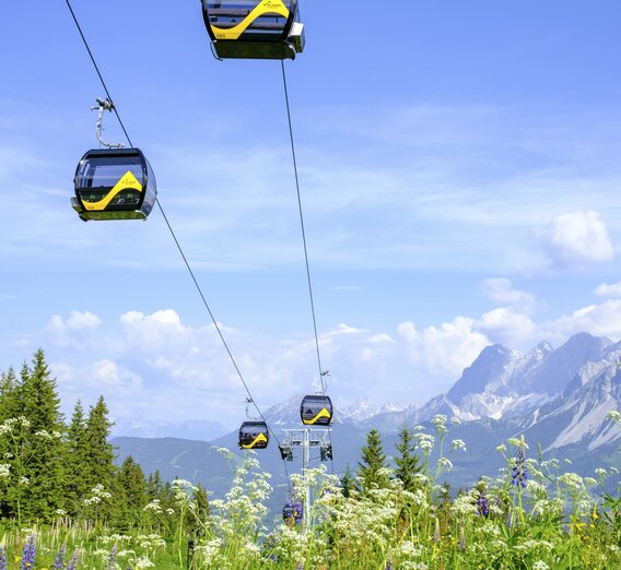 Gondola ride up the Planai | © Steiermark Tourismus | photo-austria.at