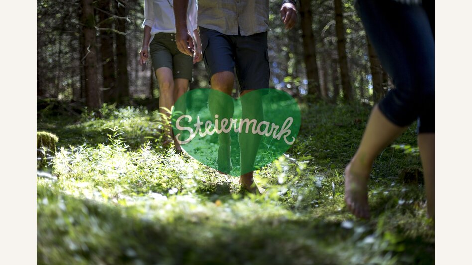 Waldbaden im Naturpark Zirbitzkogel-Grebenzen | © STG | Tom Lamm