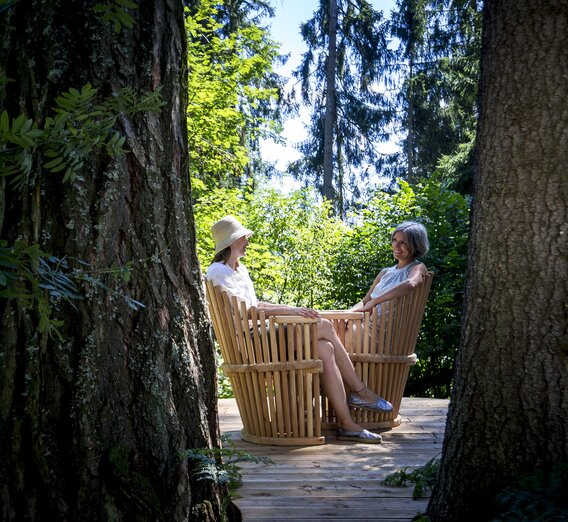 Ein lauschiger Platz im Wald | © STG | Tom Lamm