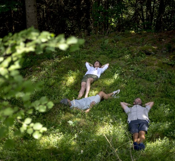 Forest bathing in the Green Heart of Austria | © Steiermark Tourismus | Tom Lamm