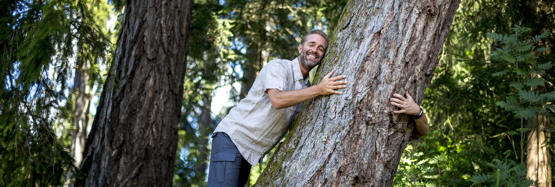 Forest bathing in the Green Heart of Austria | © Steiermark Tourismus | Tom Lamm