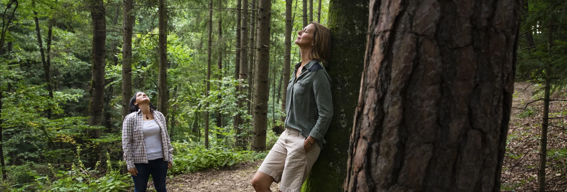 Time out in the forest | © Steiermark Tourismus | Punkt & Komma