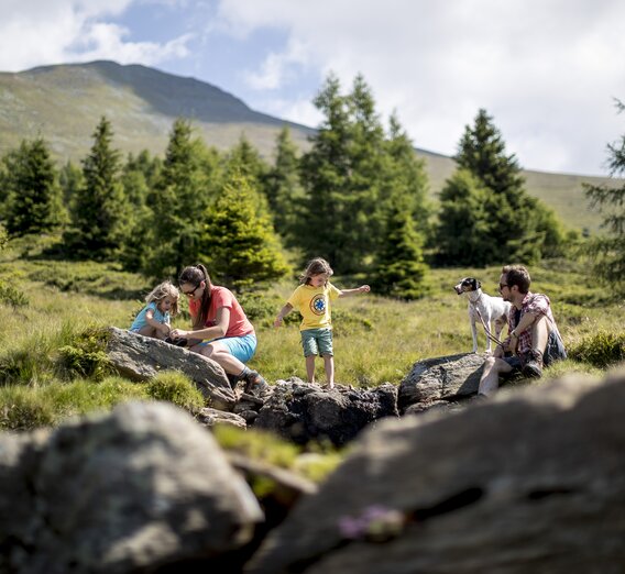 Familienurlaub mit Hund am Zirbitzkogel | © STG | Tom Lamm