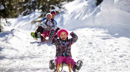 Tobogganing on the Planneralm | © Steiermark Tourismus | Tom Lamm