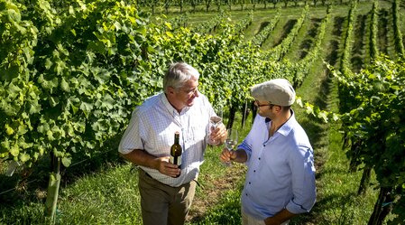 Weinverkostung mit dem Weinbauern Alois Gross im Weingarten, Ratsch a.d. Weinstraße  | © STG | Tom Lamm