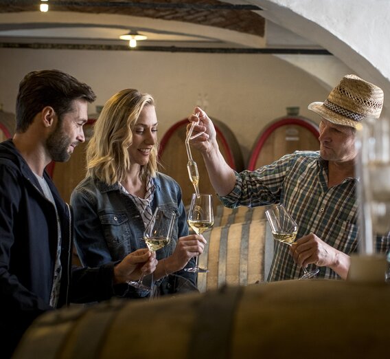 Weine verkosten mit Hans Söll, Weingut Söll, Sernauberg | © Südsteiermark | Tom Lamm