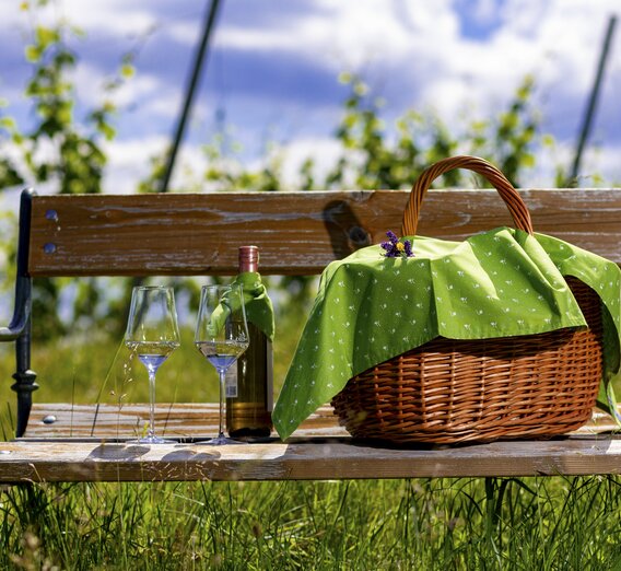 Picknick im Weingarten | © STG | Harry Schiffer